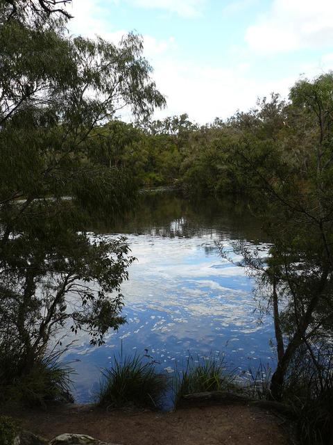 20080722 - Bream Fishing 12